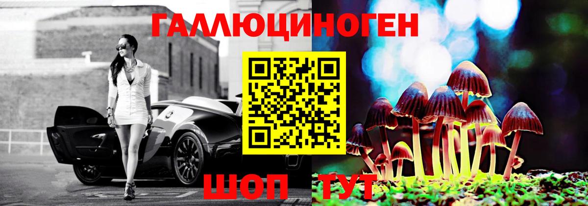 Псилоцибиновые грибы GOLDEN TEACHER Петропавловск-Камчатский
