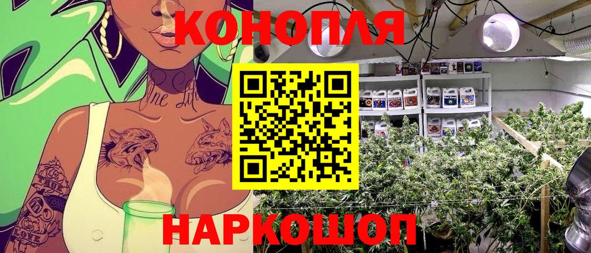 Канабис конопля Петропавловск-Камчатский